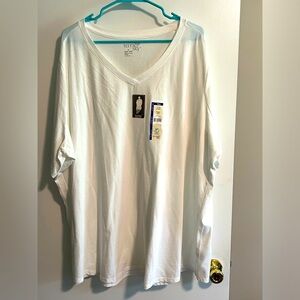 Terra & Sky white v neck tee.
